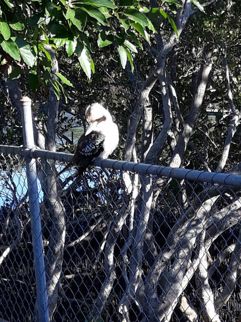 Bay Executive Motel - Accommodation NT 3