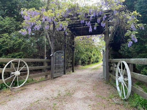 Relaxing At Acreage Farmhouse - Accommodation NT 3