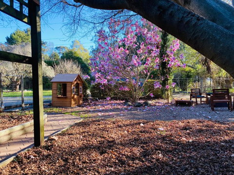 Relaxing At Acreage Farmhouse - Accommodation NT 2