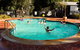 Rivergum Holiday Park - thumb 0