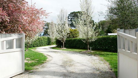 Robin Hill Manor - Accommodation NT 2