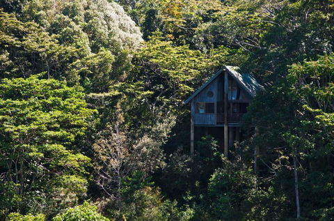 Rose Gums Wilderness Retreat - NT Tourism 1