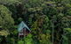 Rose Gums Wilderness Retreat - thumb 0