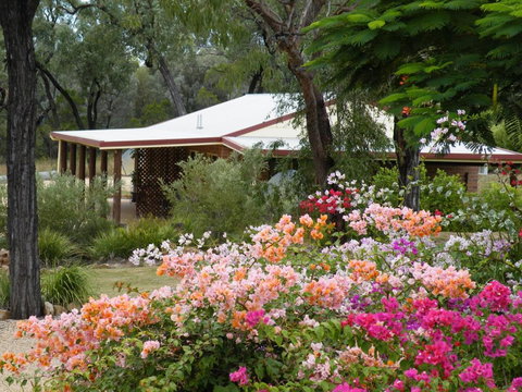 Rubyvale Motel & Holiday Units - An Adults Only Getaway - Accommodation NT 2