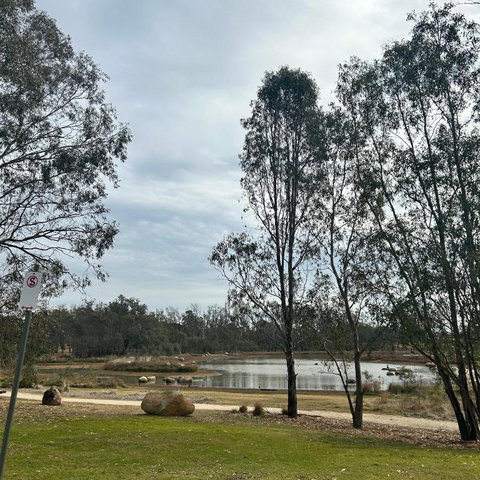 Rutherglen Holiday Park - Accommodation NT 0