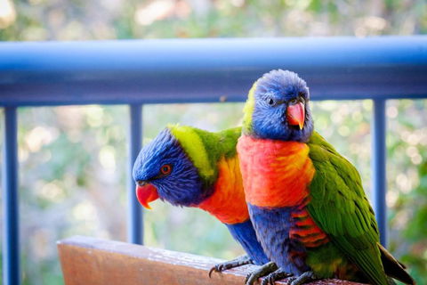 Sanctuary Lake Apartments - NT Tourism 1