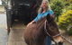 Snowy River Lodge Motel - thumb 1