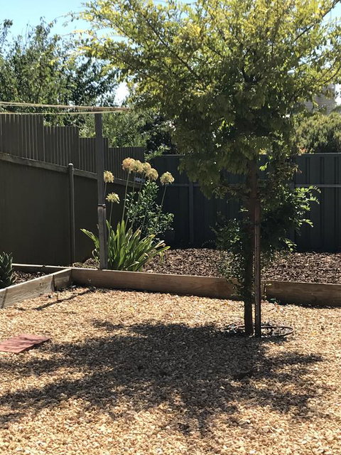 Beatty Cottage - Accommodation NT 2