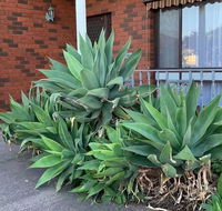 Beautiful Bedroom in Bentleigh East - Accommodation NT