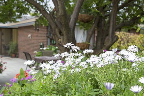 Bed And Breakfast In Perth - Accommodation NT 1