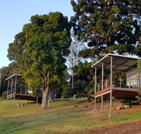 Beechmont Bean Cabins - Accommodation NT