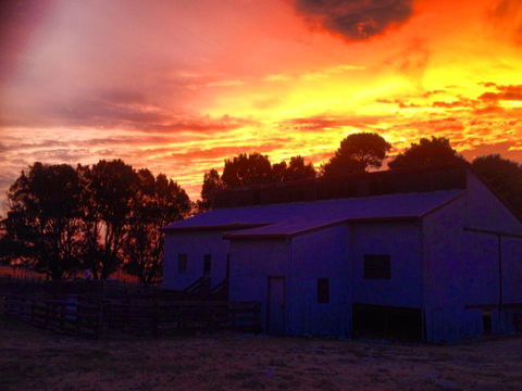 Beggs Farmstay B&B - NT Tourism 1