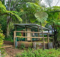 Binna Burra Rainforest Campsite - Accommodation NT