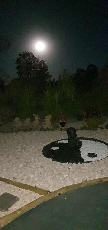 Birdhouse Cottage B&B - Accommodation NT 1