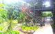 Elevated Tropical House - thumb 0