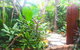 Elevated Tropical House - thumb 1