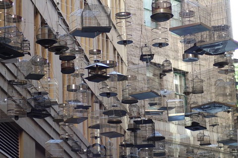 Sydney Scavenger Hunt: Inside Sydney - Accommodation NT 0