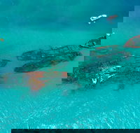 Private Tangalooma Wrecks Tour - Accommodation NT