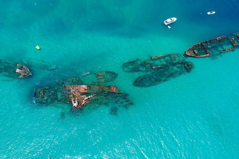 Private Tangalooma Wrecks Tour - Accommodation NT 0