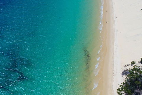 Private Tangalooma Wrecks Tour - Accommodation NT 1