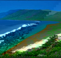 Cairns Reef and Rainforest Combo Daintree Rainforest and the Great Barrier Reef - Accommodation NT