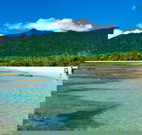 Private Daintree National Park Day Tour from Cairns Including Cape Tribulation and Mossman Gorge - Accommodation NT