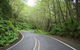 Cruise Ship Shore Excursion - Private Great Ocean Road Full Day Tour (12 Hour) - thumb 3