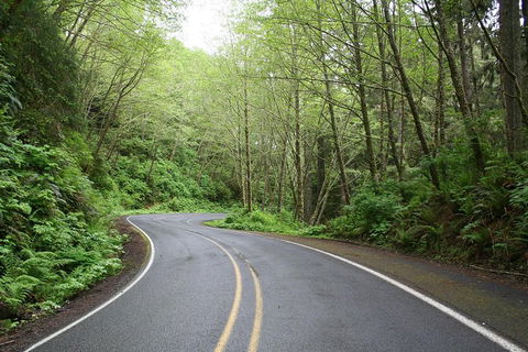 Cruise Ship Shore Excursion - Private Great Ocean Road Full Day Tour (12 Hour) - Accommodation NT 3