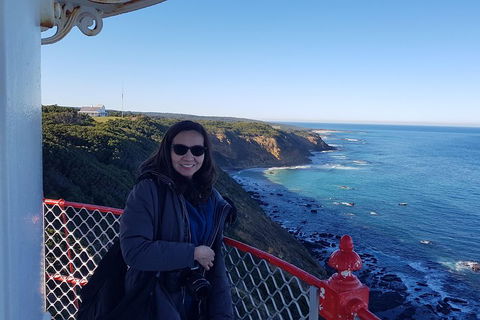 Great Ocean Road Full Day Private Experience - Accommodation NT 1