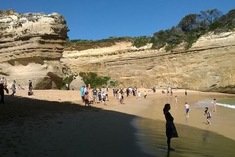 Great Ocean Road Full Day Private Experience - Accommodation NT 3