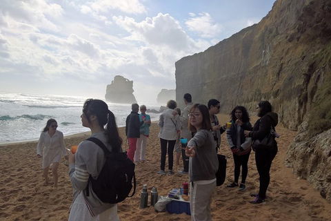 Great Ocean Road Full Day Private Experience - Accommodation NT 4