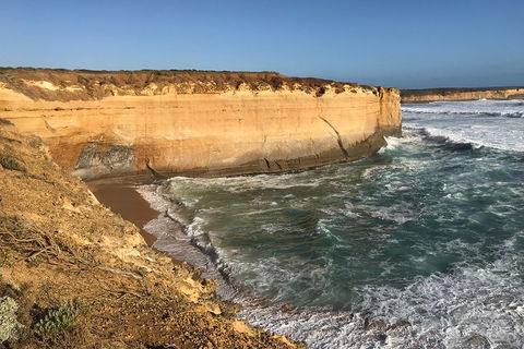 12 Apostles Tour From Warrnambool - Accommodation NT 1