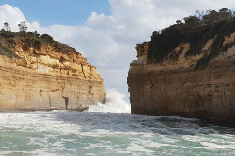 12 Apostles Tour From Warrnambool - Accommodation NT 2