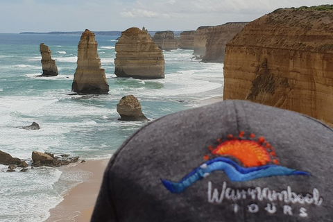 12 Apostles Tour From Warrnambool - Accommodation NT 4