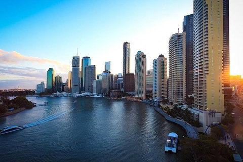 Brisbane City Highlights With Lone Pine! - Accommodation NT 3