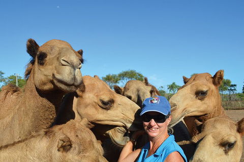 Broome Pre-sunset Camel Tour 30 Minutes - Accommodation NT 0