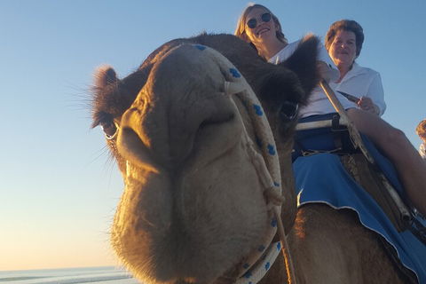 Broome Pre-sunset Camel Tour 30 Minutes - Accommodation NT 1