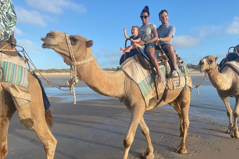 Broome Pre-sunset Camel Tour 30 Minutes - Accommodation NT 3