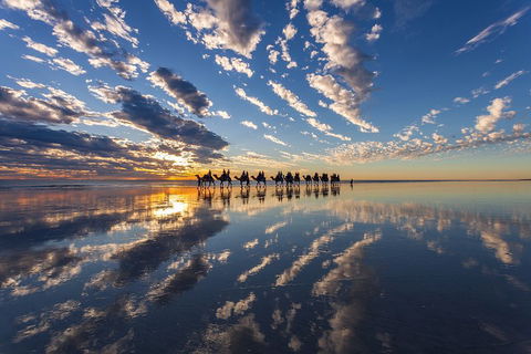 Broome Pre-sunset Camel Tour 30 Minutes - Accommodation NT 4