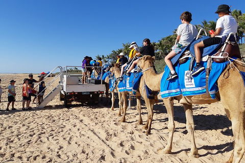 Broome Pre-sunset Camel Tour 30 Minutes - Accommodation NT 5