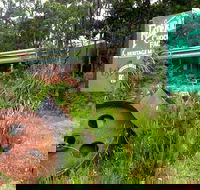 Port Arthur Richmond and Tasman Peninsula Day Trip from Hobart - Accommodation NT