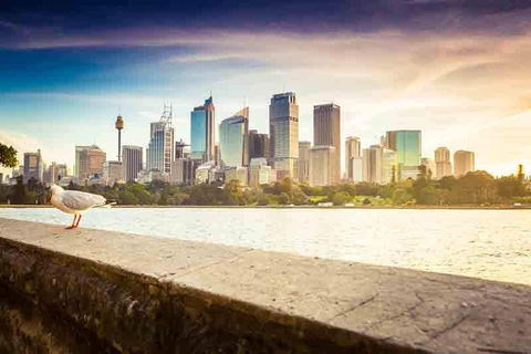 Private Sydney City And Bondi Beach Half Day Tour - Accommodation NT 2