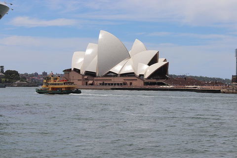 Private Sydney City And Bondi Beach Half Day Tour - Accommodation NT 5