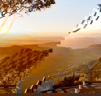 O'Reilly's  Lamington National Park incl. Alpaca Farm  Vineyard - Accommodation NT