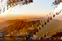 O'Reilly's  Lamington National Park incl. Alpaca Farm  Vineyard, Surfers Paradise