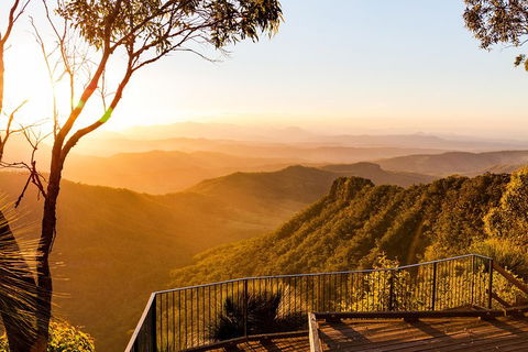 O'Reilly's & Lamington National Park Incl. Alpaca Farm + Vineyard - Accommodation NT 0