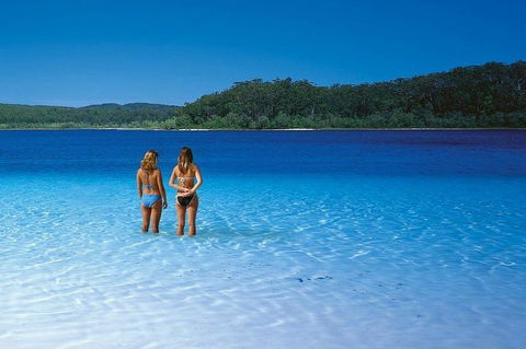Fraser Island 4WD Tour From Noosa - Accommodation NT 2