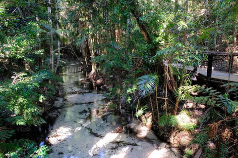 Fraser Island 4WD Tour From Rainbow Beach - Accommodation NT 0