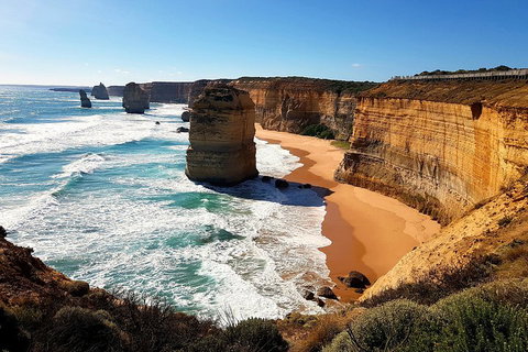 Helicopter Flight + Fine Dining Private Luxury Great Ocean Road Tour - Accommodation NT 4