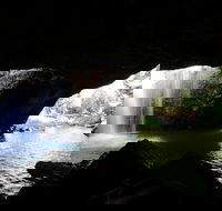 Rainforest  Waterfalls Extravaganza - Accommodation NT